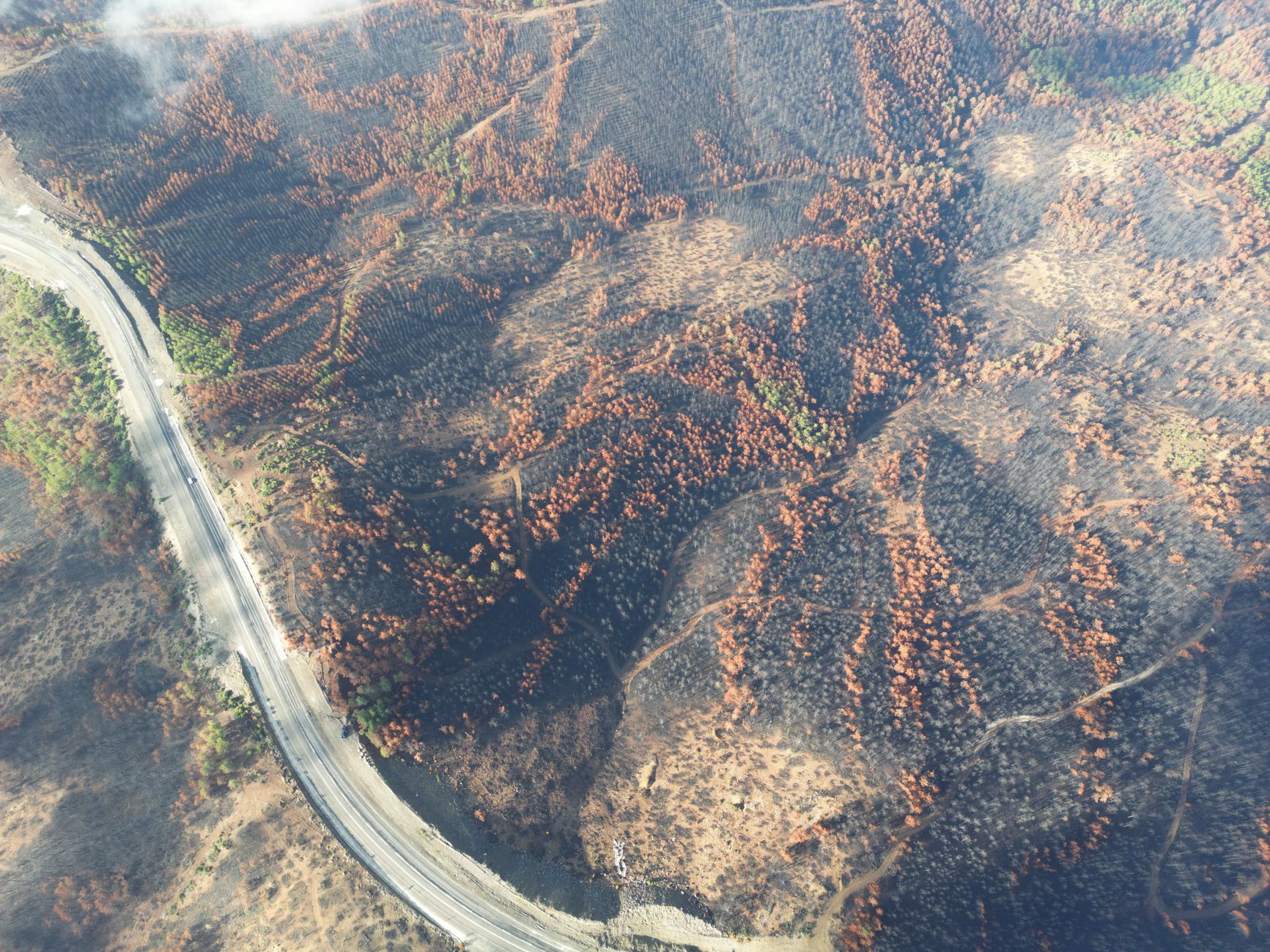 Massive Wildfire Devastates Zamora Region