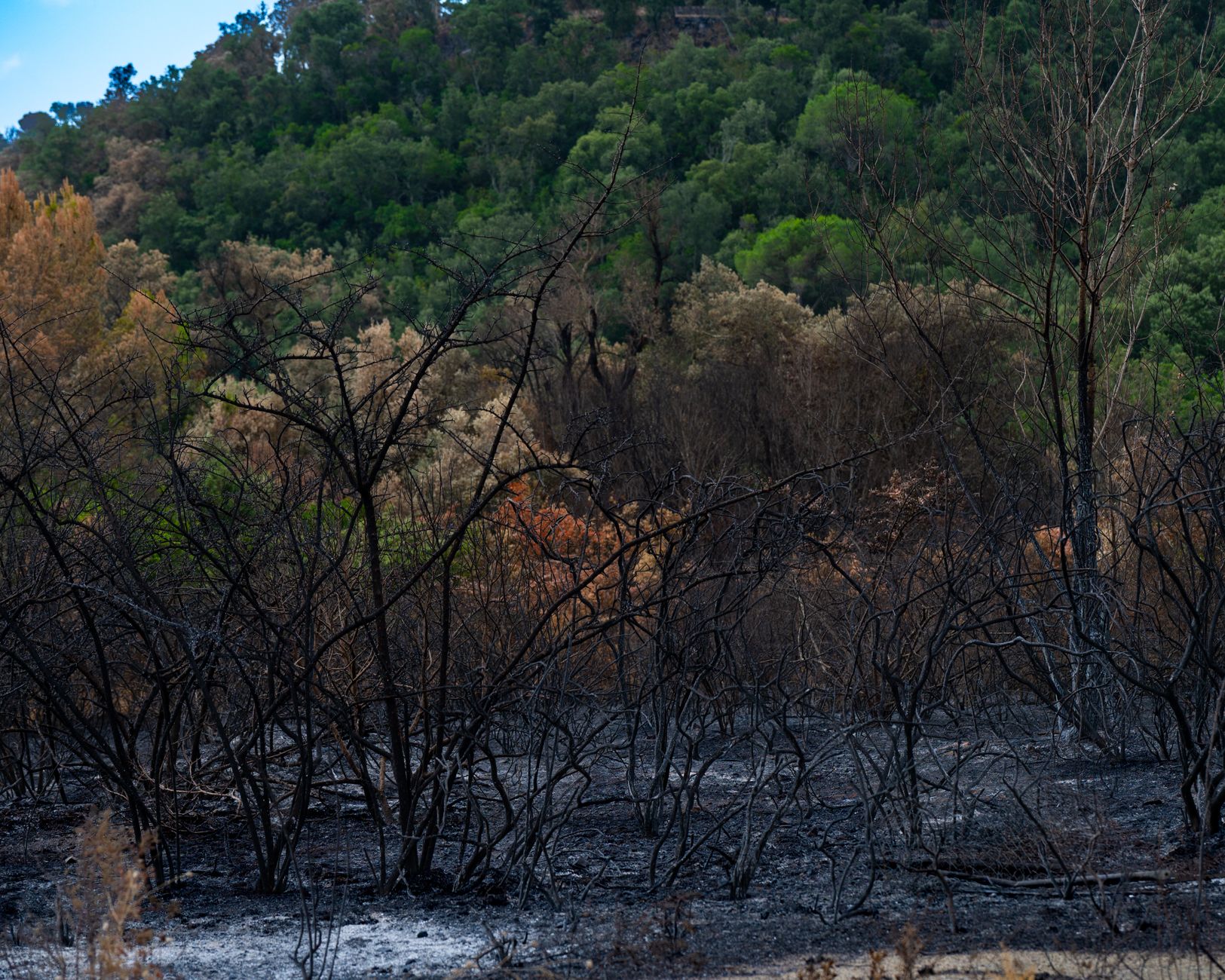 Millions in Spain Face Wildfire Risks